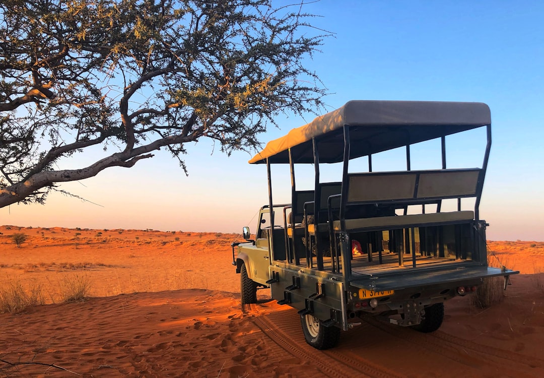 Photo by Bernd 📷 Dittrich a safari vehicle driving through the desert on a sunny day
