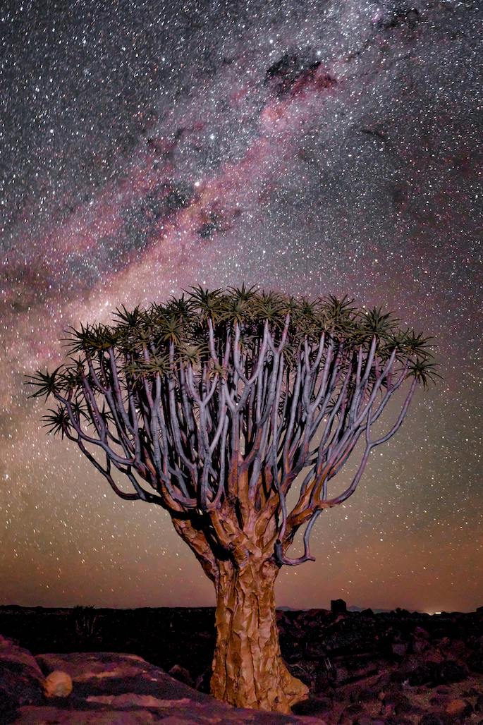 Kalahari night sky Kalahari night sky
